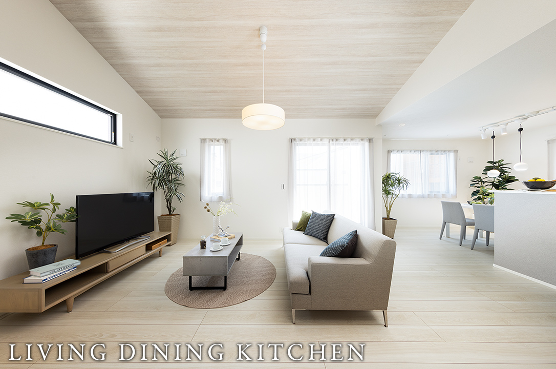 LIVING DINING KITCHEN